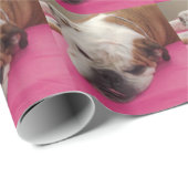 Englische Bulldogge Geschenkpapier (Rolleneckpunkt)