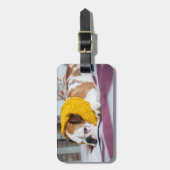 Englische Bulldogge Getty Bild-| Gepäckanhänger (Vorderseite vertikal)