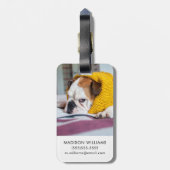 Englische Bulldogge Getty Bild-| Gepäckanhänger (Rückseite vertikal)