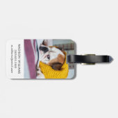 Englische Bulldogge Getty Bild-| Gepäckanhänger (Rückseite horizontal)