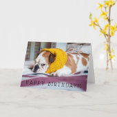 Englische Bulldogge Getty Bild-| Karte (Gelbe Blume)