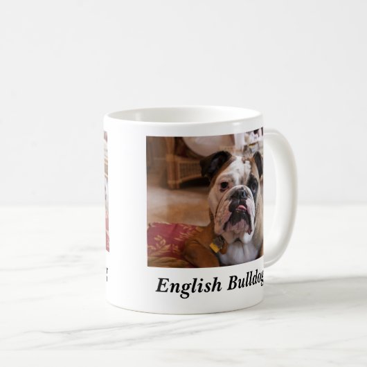 Englische Bulldogge Kaffeetasse (VorderseiteRechts)