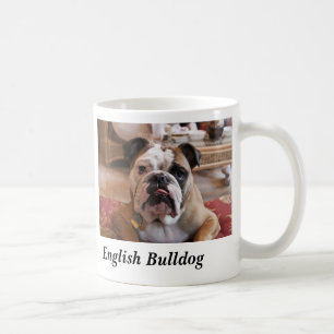 Englische Bulldogge Kaffeetasse