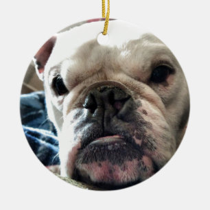 Englische Bulldogge Keramik Ornament
