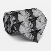 Englische Bulldogge Krawatte (Gerollt)