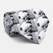 Englische Bulldogge Krawatte (Gerollt)