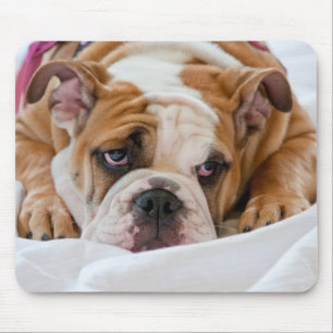 Englische Bulldogge Mousepad