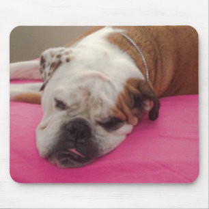 Englische Bulldogge Mousepad