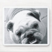 Englische Bulldogge Mousepad (Vorne)