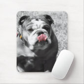 englische Bulldogge Mousepad (Mit Mouse)