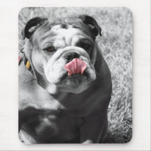 englische Bulldogge Mousepad