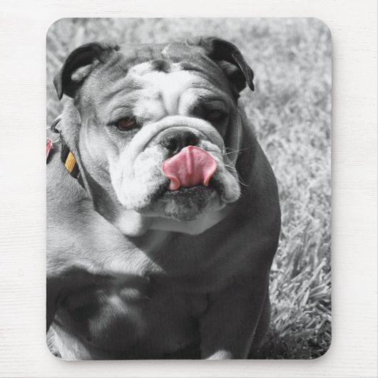 englische Bulldogge Mousepad (Vorne)