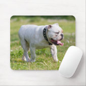 Englische Bulldogge Mousepad (Mit Mouse)