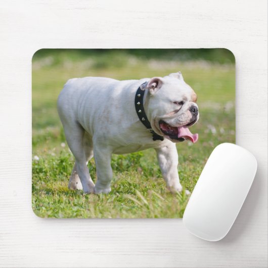 Englische Bulldogge Mousepad (Mit Mouse)