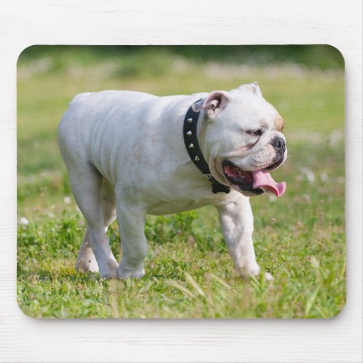 Englische Bulldogge Mousepad (Vorne)