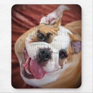 Englische Bulldogge Mousepad