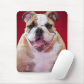 Englische Bulldogge Mousepad (Mit Mouse)