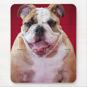 Englische Bulldogge Mousepad