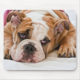 Englische Bulldogge Mousepad