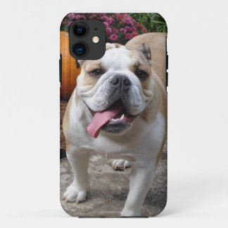 Englische Bulldogge niedliches lustiges iPhone 5 11 Hülle
