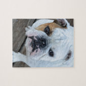 Englische Bulldogge Puzzle (Horizontal)