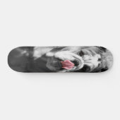 englische Bulldogge Skateboard (Horizontal)