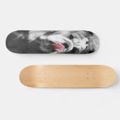 englische Bulldogge Skateboard (Horizontal)