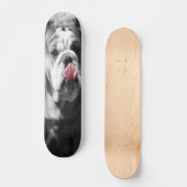 englische Bulldogge Skateboard (Vorderseite)
