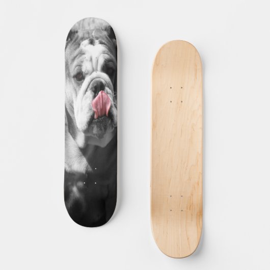 englische Bulldogge Skateboard (Vorderseite)