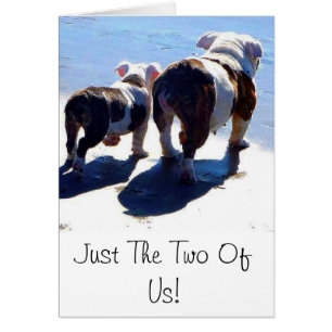 Englische Bulldogge und Welpe