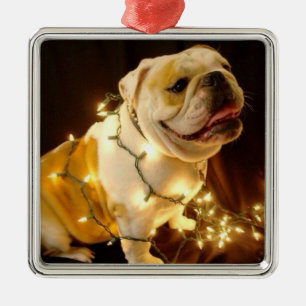 Englische Bulldogge Weihnachtsbaumverzierung Silbernes Ornament