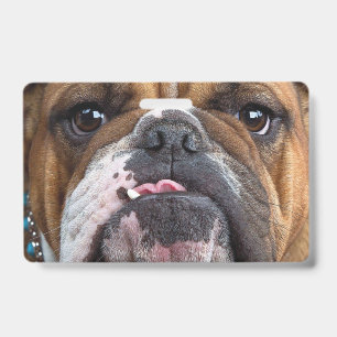 Englische Bulldogge Wurf Kissen Ausweis