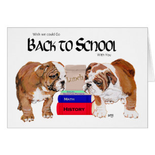 Englische Bulldogge zurück zur Schule