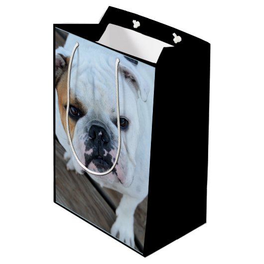 Englische Bulldoggen-Hundegeschenktasche Mittlere Geschenktüte (Rückseite Schrägansicht)