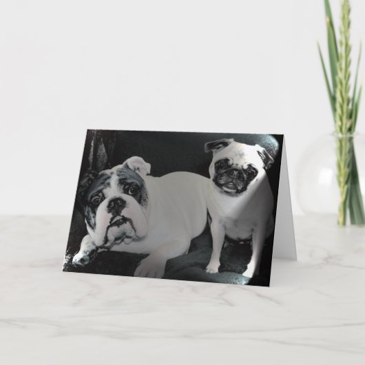 Englische Bulldoggen-und Mops-Gruß-Karte Karte (Vorderseite)