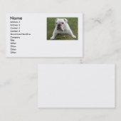 Englische Bulldoggen-Visitenkarten Visitenkarte (Vorne/Hinten)