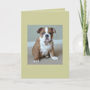Englische Bulldoggen-Welpe Karte
