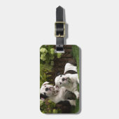 Englische Bulldoggen-Welpen Gepäckanhänger (Vorderseite vertikal)