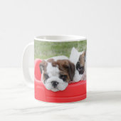 Englische Bulldoggen-Welpen in einem Lastwagen Kaffeetasse (Vorderseite Links)