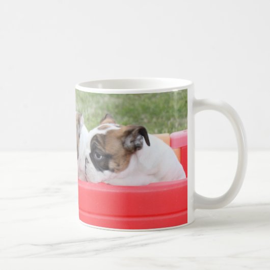 Englische Bulldoggen-Welpen in einem Lastwagen Kaffeetasse (Rechts)
