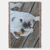 Englische Bulldoggen-Wurfsdecke Decke (Vorderseite Vertikal)