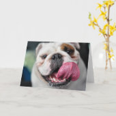 Englische Bulldoggengrußkarte Karte (Gelbe Blume)