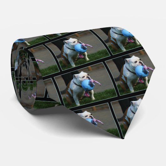 Englische Bulldoggenkrawatte Krawatte (Gerollt)