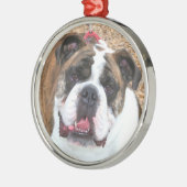 Englische Bulldoggenverzierung Silbernes Ornament (Links)