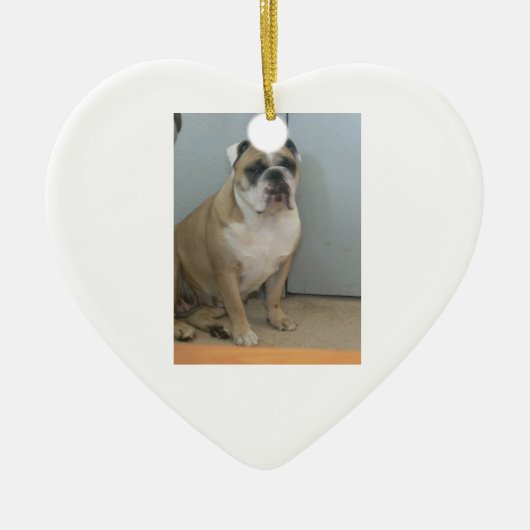 Englische Bulldoggenverzierungen Keramik Ornament (Vorne)
