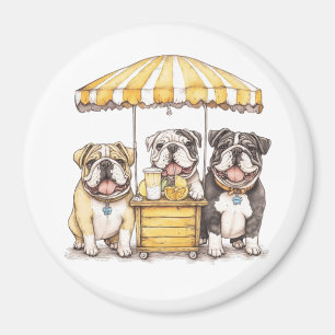Englische Bullhunde laufen auf einer Limonade Magnet