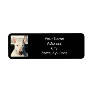 Englische Bullterrier-Adressen-Etiketten