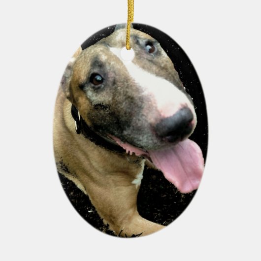 Englische Bullterrier-Verzierung Keramikornament (Vorne)