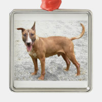 Englische Bullterrier-Verzierung