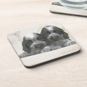 Englische Cocker spaniel ist eine Zucht des Untersetzer (Linke Seite)